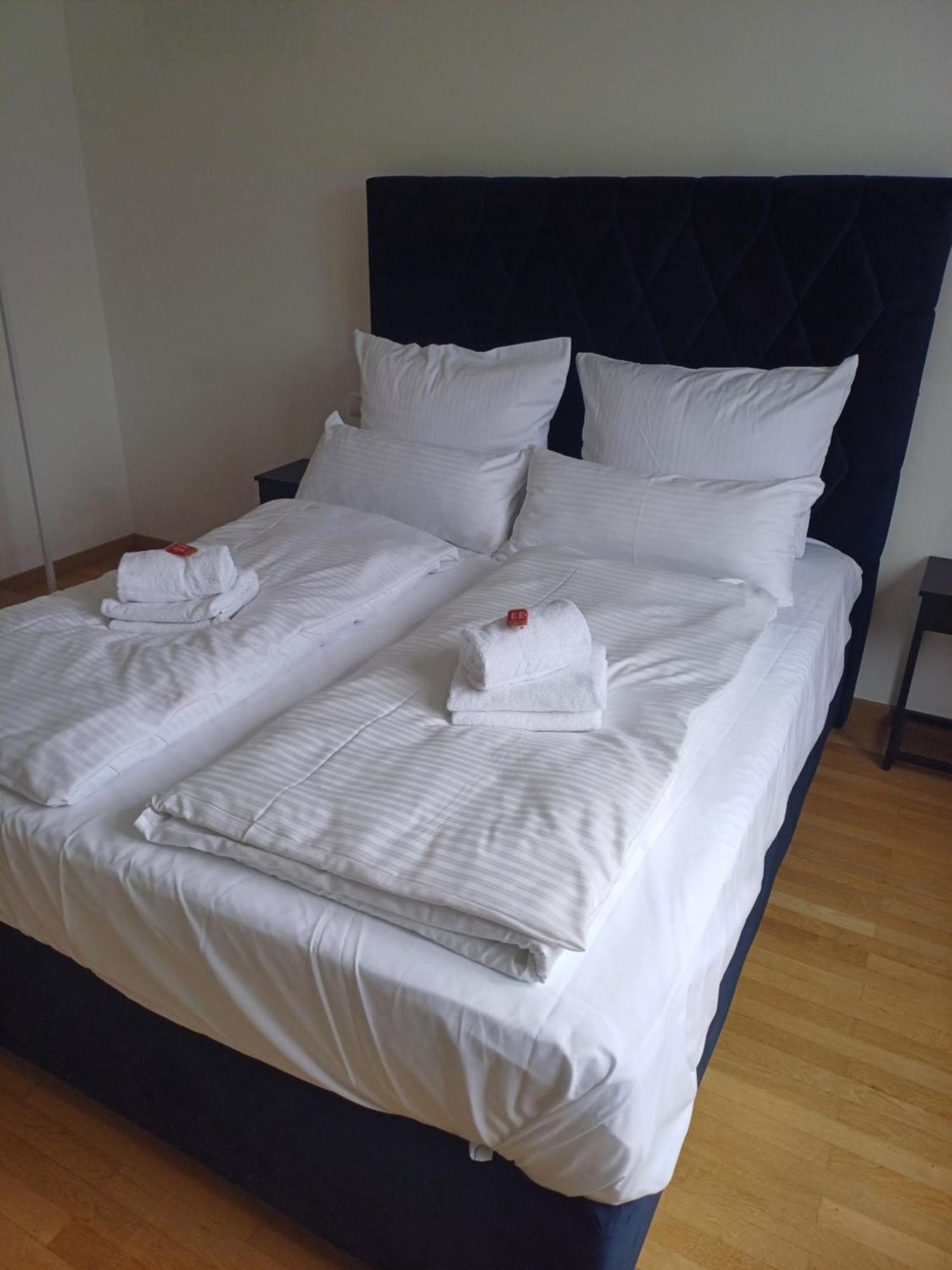 Crown Living Design Apartment - 2 Schlafzimmer - Kueche - Gratis Parkplatz - Abstellraum Fuer Fahrraeder/Ski Mader Экстерьер фото